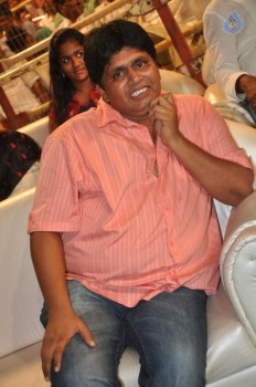 Raja Cheyyi Vesthe Audio Launch 1 - 33 of 158