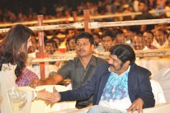 Raja Cheyyi Vesthe Audio Launch 1 - 125 of 158