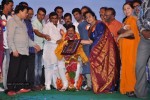 Rajendra Prasad Felicitation Photos - 119 of 206