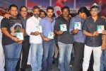 Ramayya Vastavayya Audio Launch 04 - 142 of 150