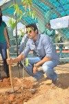 Rana Plants Trees Event - 4 of 27