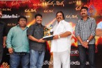 Ranga The Donga Movie Triple Platinum Disc Function - 59 of 76