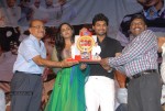 Rangam Movie 100days Function - 3 of 151