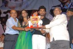 Rangam Movie 100days Function - 46 of 151