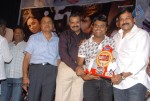 Rangam Movie 100days Function - 98 of 151