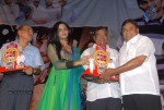 Rangam Movie 100days Function - 130 of 151