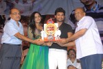 Rangam Movie 100days Function - 133 of 151