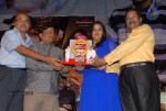 Rangam Movie 100days Function - 142 of 151