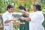 Rani Ranamma Movie Opening - 3 of 149