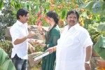 Rani Ranamma Movie Opening - 105 of 149