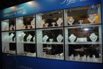 Richa Gangopadhyay at Hitex International Gems n Jewellery Expo 2010  - 35 of 38