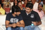 Rough Movie Audio Launch 01 - 56 of 85