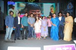 Rough Movie Audio Launch - 1 of 63