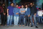 Rough Movie Audio Launch - 24 of 63