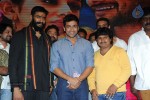 Rough Movie Audio Launch - 55 of 63