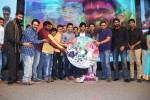 Rough Movie Audio Launch 03 - 28 of 143