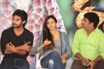 Rough Movie Success Meet - 4 of 79