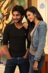 Rough Movie Success Meet - 30 of 79