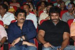 Rowdy Fellow Audio Launch 02 - 15 of 152