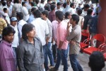 Rowdy PM at Mallikarjuna Theatre - 41 of 149