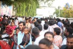 Rowdy PM at Mallikarjuna Theatre - 95 of 149