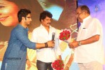 Saheba Subrahmanyam Audio Launch 2 - 15 of 43