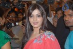 Samantha attends Kalanikethan Aashadadam Celebrations - 39 of 93