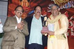 Santosham 11th Anniversary Awards 02 - 52 of 105