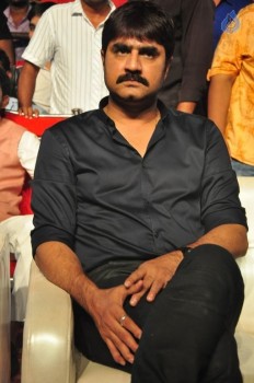 Sarrainodu Blockbuster Function 2 - 21 of 100