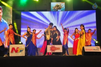 Sarrainodu Blockbuster Function 2 - 24 of 100