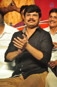 Sarrainodu Blockbuster Function 2 - 33 of 100