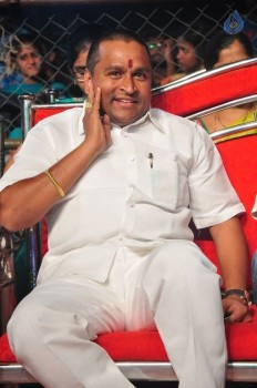 Sarrainodu Blockbuster Function 2 - 36 of 100