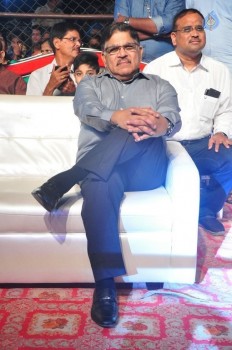 Sarrainodu Blockbuster Function 2 - 39 of 100