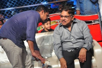 Sarrainodu Blockbuster Function 2 - 48 of 100