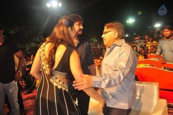 Sarrainodu Blockbuster Function 2 - 50 of 100