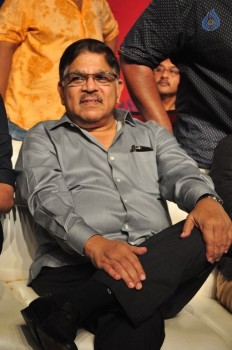 Sarrainodu Blockbuster Function 2 - 52 of 100