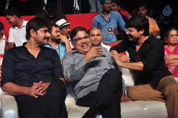 Sarrainodu Blockbuster Function 2 - 63 of 100