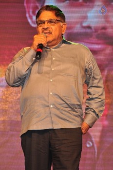 Sarrainodu Blockbuster Function 3 - 6 of 42