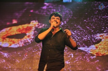 Sarrainodu Blockbuster Function 3 - 17 of 42