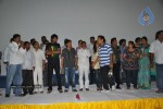 Seema Tapakai Movie Triple Platinum Disc Function - 32 of 88