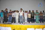Seema Tapakai Movie Triple Platinum Disc Function - 38 of 88