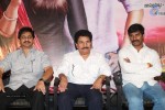 Seenugadi Love Story Trailer Launch - 37 of 75