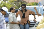 Sevakudu Movie Opening Stills - 3 of 42