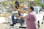 Sevakudu Movie Opening Stills - 35 of 42