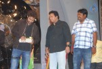 Shakti Movie Audio Launch Photos  - 90 of 211