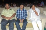 Shakti Movie Audio Launch Photos  - 91 of 211