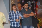 Shakti Movie Audio Launch Photos  - 182 of 211