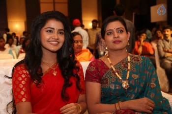 Shatamanam Bhavati Success Meet 1 - 30 of 103
