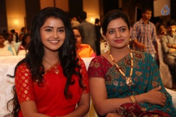 Shatamanam Bhavati Success Meet 1 - 42 of 103