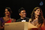 SIIMA Awards Function Photos - 36 of 103